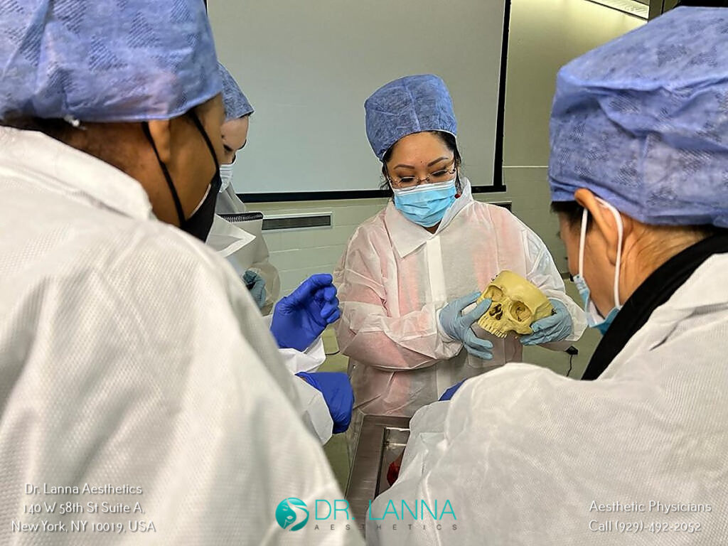 Dr. Lanna and her team discussed facial anatomy